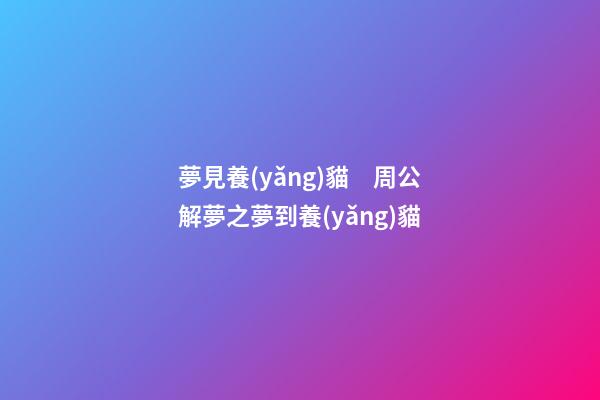 夢見養(yǎng)貓　周公解夢之夢到養(yǎng)貓